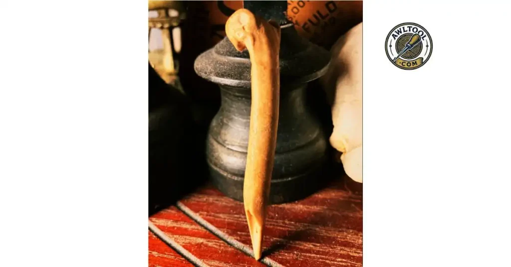 A close-up shot of a long, pointed awl-like tool made from an old piece of bone, standing vertically on a wooden surface. What Material is the Awl Made Of
