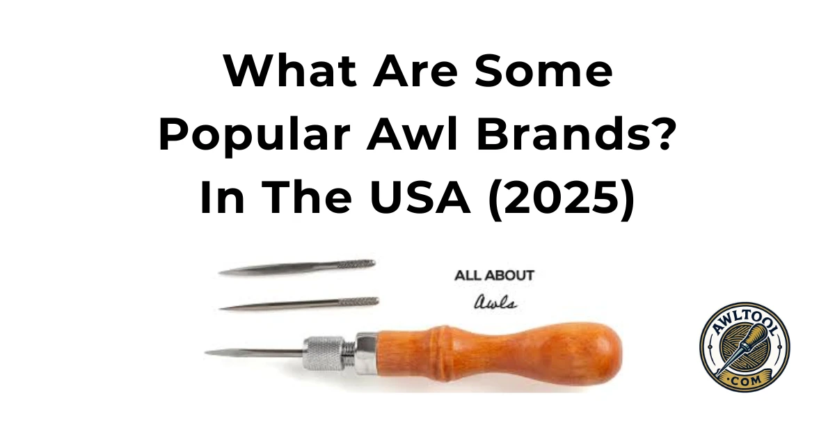 Title graphic reading "What Are Some Popular Awl Brands? In The USA (2025)" above a photo of an interchangeable awl tool with a wooden handle and two separate awl blades.